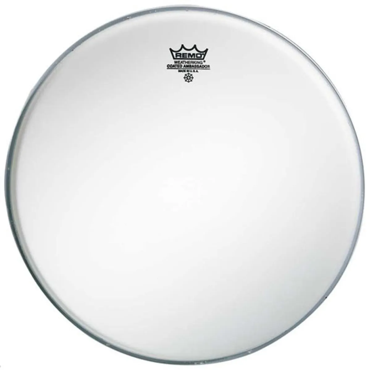 REMO Pre-Inter Ambassador 10" Coated