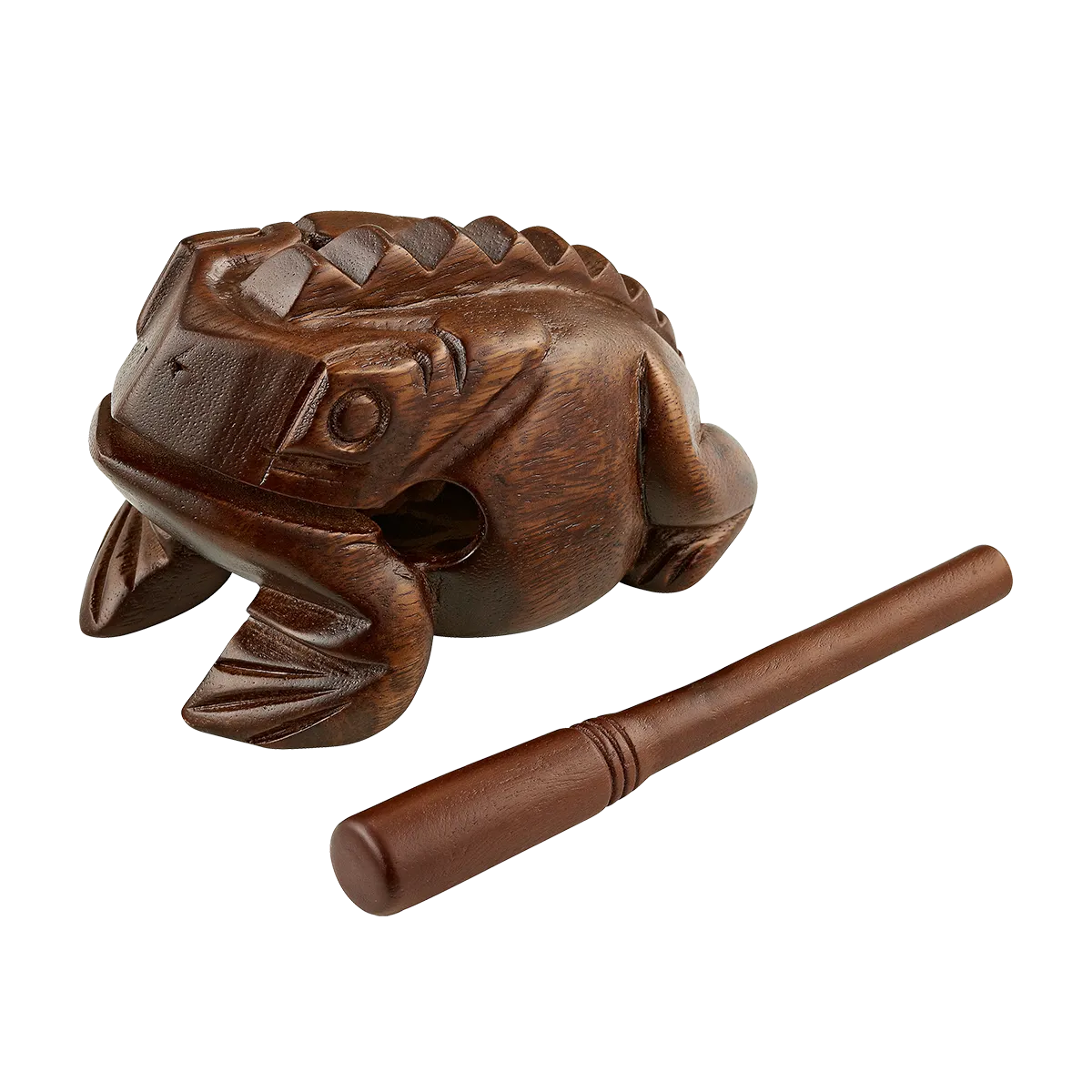 Grenouille Meinl Large