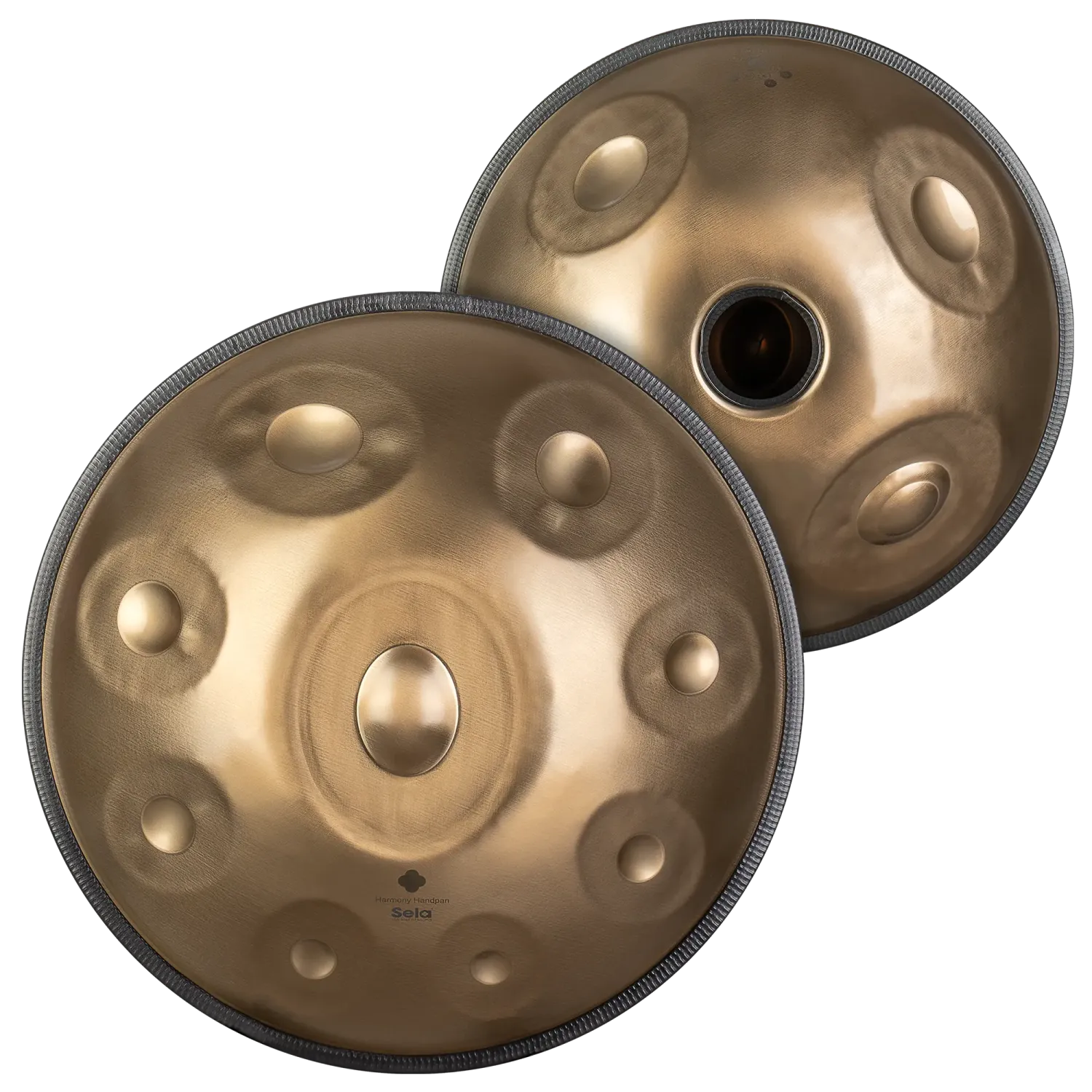 SELA SEHP203 Harmony Handpan D Kurd 9+3 Notes