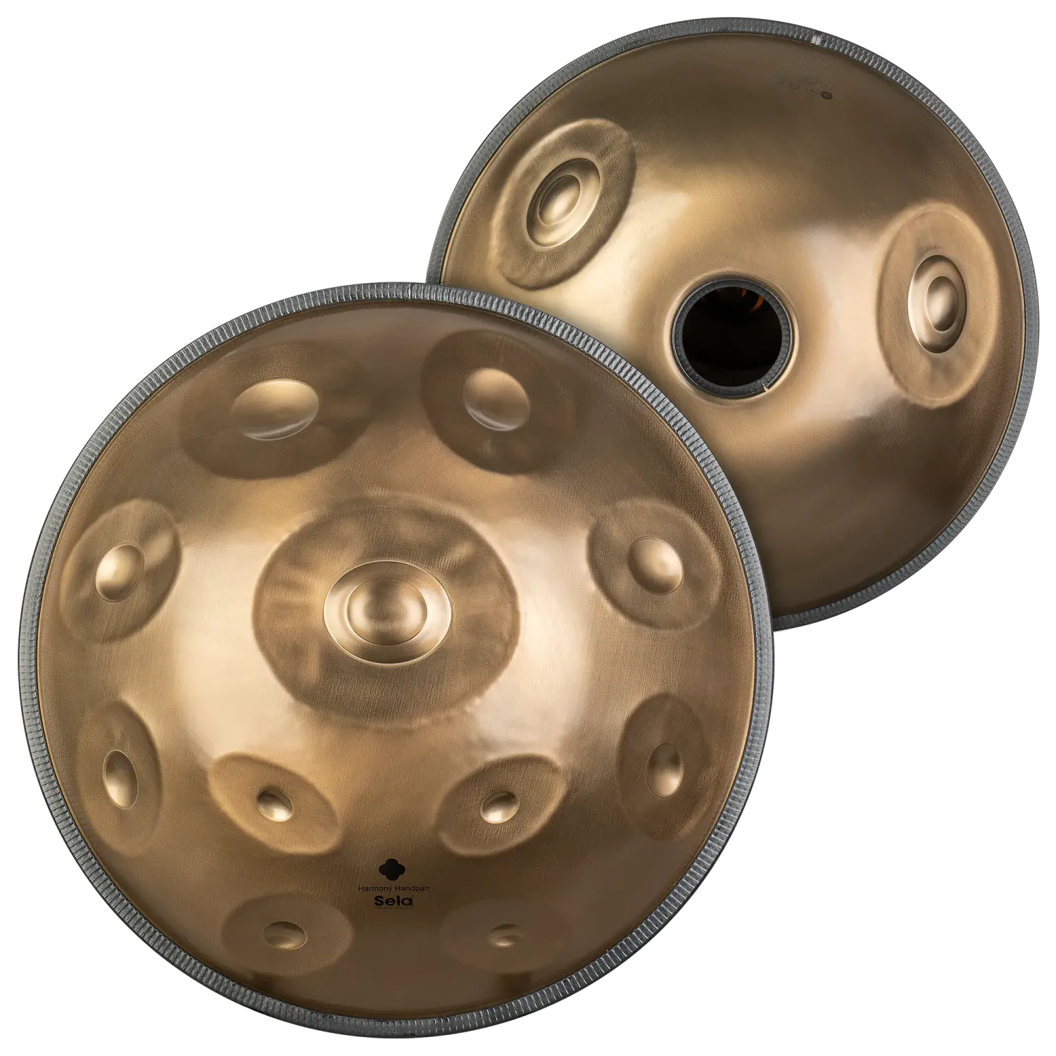 SELA SEHP201 Harmony Handpan D Kurd 11+2 Notes