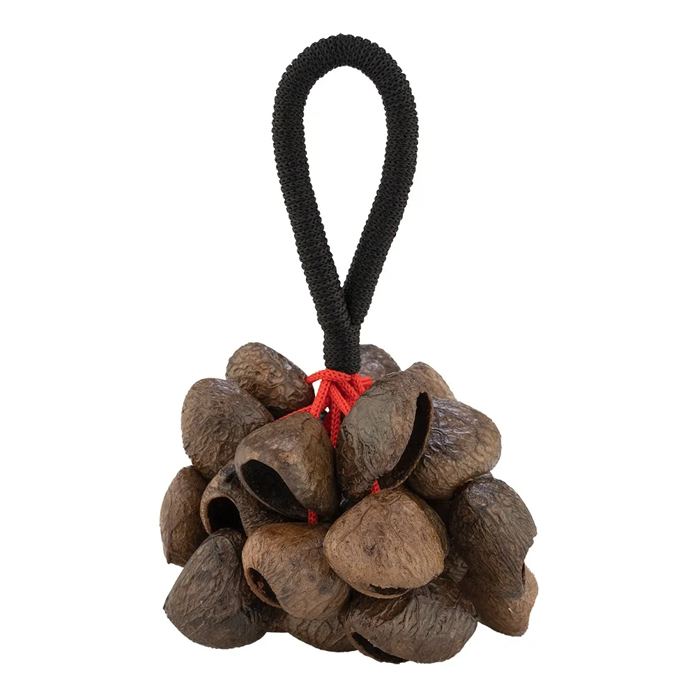 Djudju Pearl Shaker - Noix De Pangium