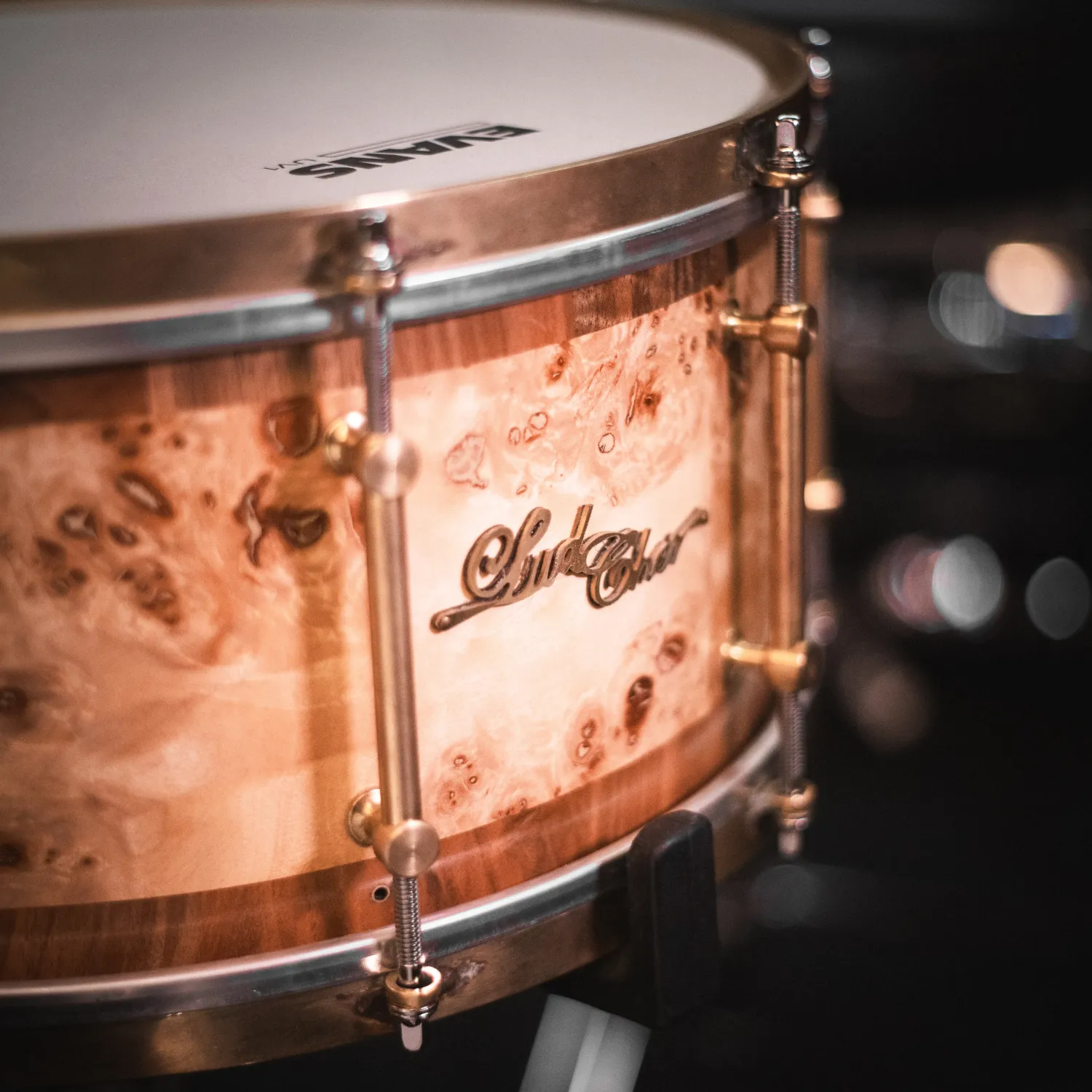 LUDCHER Caisse Claire 14"x 6.5" Mapa Burl