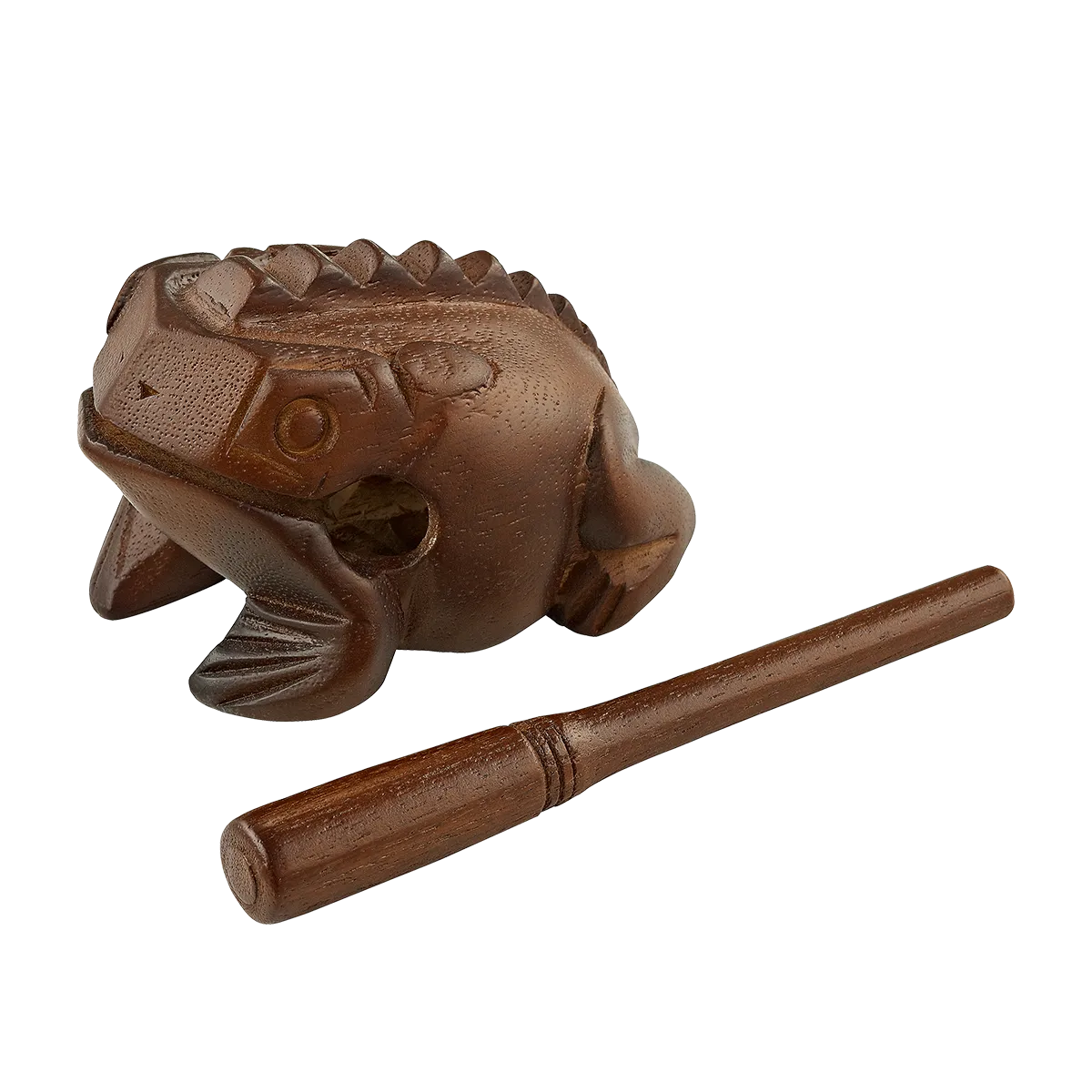 Grenouille Meinl Medium