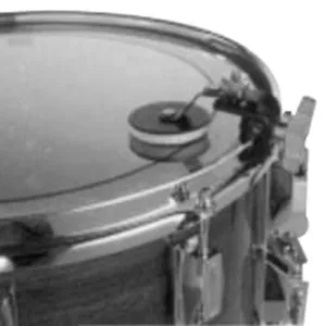 Sourdine Stagg Exterieur - Caisse Claire