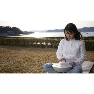 ROLAND MN-10 Handpan Mood Pan