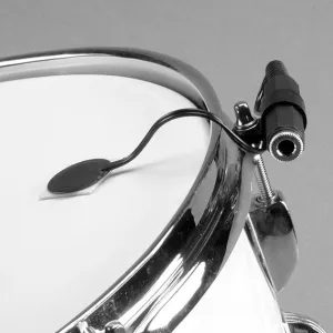 Trigger Drumdial Pastille