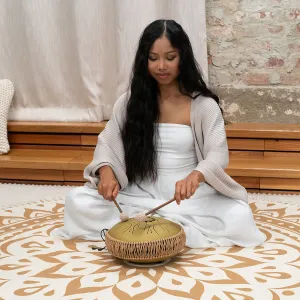 Tongue Drum Meinl Sonic Energy Octave Steel- Do Maj- Gold