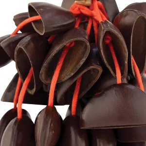 Djudju Pearl Shaker - Noix DArtocarpus