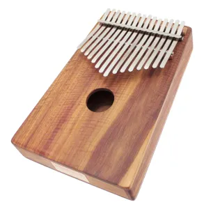 Kalimba Ami Hugh Tracey Alto Chromatic 26 Notes Sur Boite