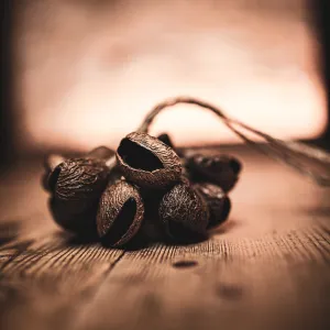 Djudju Meinl Sonic Energy Pangi - Petit