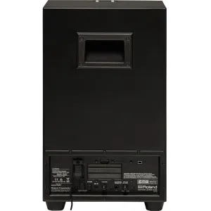 ROLAND EC-10 Cajon "El Cajon" Hybrid