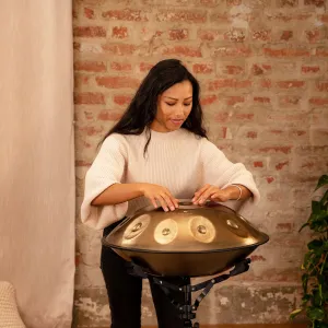 Handpan Meinl Sonic Energy D Amara - 10 Notes - Vintage Gold