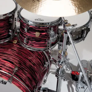 Coquille Ludwig Atlas (LUnite)