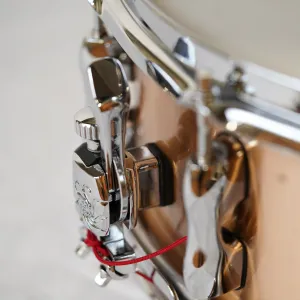 Caisse Claire Sakae 14 X 6.5" Phosphore Bronze