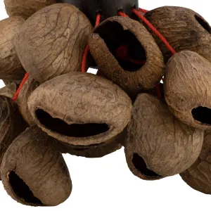 Djudju Pearl Shaker Manche - Noix De Pangium