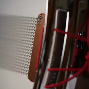 Caisse Claire Sakae 14 X 6.5" Noyer