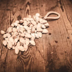 Djudju Meinl Sonic Energy Kenari - Grand