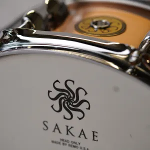 Caisse Claire Sakae 14 X 6.5" Phosphore Bronze