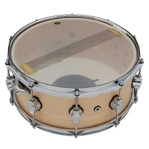 DW Design Caisse Claire 14"x 6.5" Natural Satin