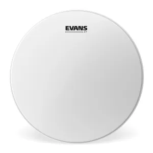 EVANS St 13"