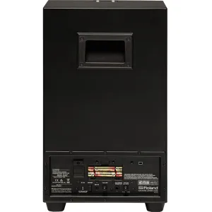 ROLAND EC-10 Cajon "El Cajon" Hybrid