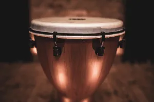Djembe Meinl Pick Up 12" Barnwood