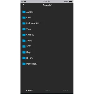 ROLAND TM-1 Module Trigger