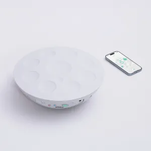 ROLAND MN-10 Handpan Mood Pan