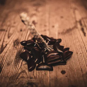 Djudju Meinl Sonic Energy Bendo - Petit