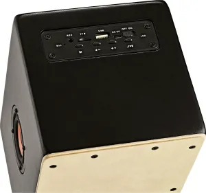 MEINL MMCS Enceinte Cajon Speaker 