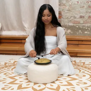 Tongue Drum Meinl 8 Notes Small Do Mineur - Gold