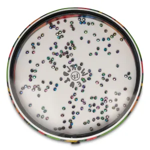 LATIN PERCUSSION LP7020 Ocean Drum 12" World Beat