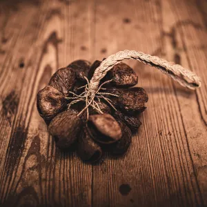 Djudju Meinl Sonic Energy Pangi - Petit