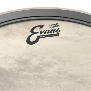 EVANS Calftone 20" Bass EMAD