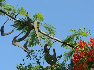 Flamboyant Yoman Super