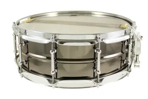 WORLDMAX Black Dawg Caisse Claire 14"x 05" Laiton