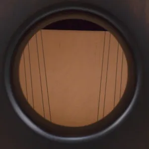 NATIVO Cajon Pro Plus Root 