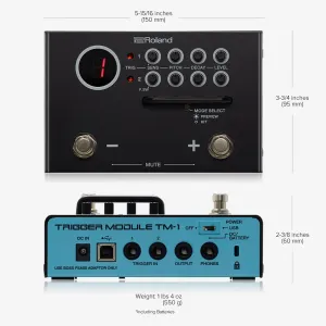 ROLAND TM-1 Module Trigger