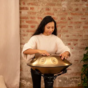 Handpan Meinl Sonic Energy Sensory - 9 Notes - Vintage Gold - C# Mino