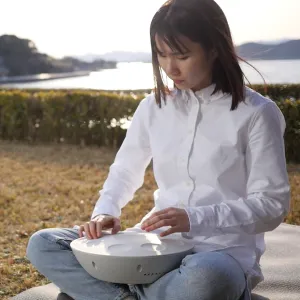 ROLAND MN-10 Handpan Mood Pan