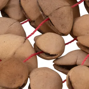 Djudju Pearl Shaker 7" - Graines De Kenari