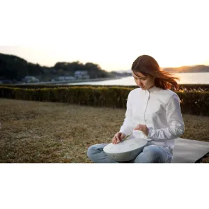 ROLAND MN-10 Handpan Mood Pan