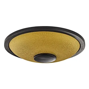 Tongue Drum Meinl 8 Notes Small Do Mineur - Gold