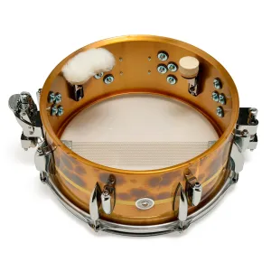 SONOR Signature Benny Greb Caisse Claire 13"x 5.75" 2.0 Laiton