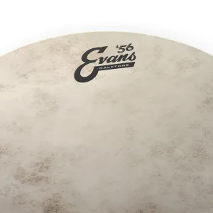 EVANS Calftone 14"