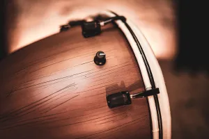 Djembe Meinl Pick Up 12" Barnwood