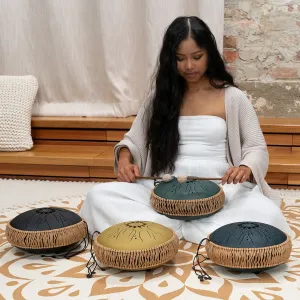 Tongue Drum Meinl Sonic Energy Octave Steel- Si Min- Black