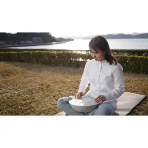 ROLAND MN-10 Handpan Mood Pan