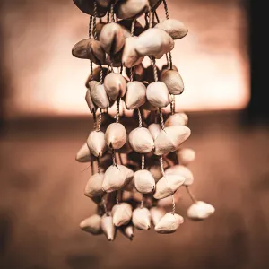 Djudju Meinl Sonic Energy Kenari - Grand