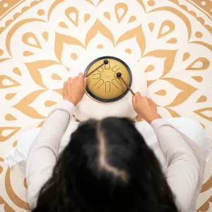 Tongue Drum Meinl 8 Notes Small Do Mineur - Gold